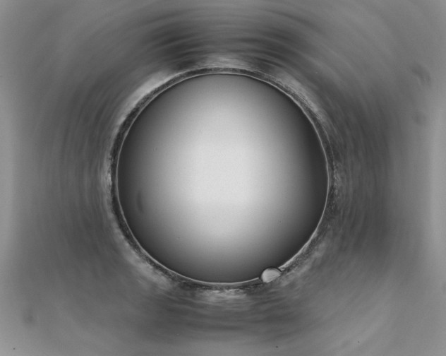 X0000112041133200908101355