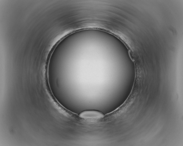 X0000112041134200908101355