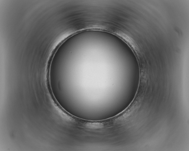 X0000112041135200908101355