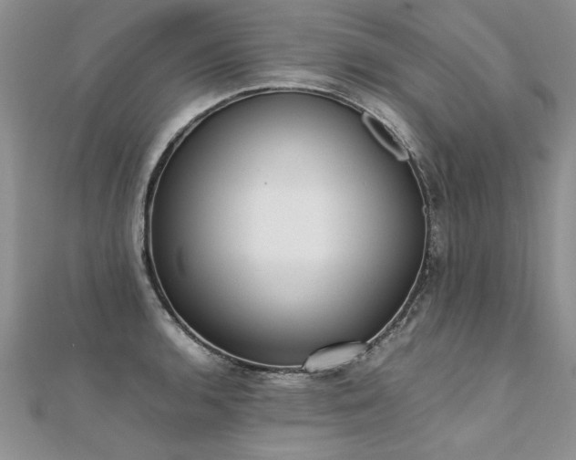 X0000112041136200908101355