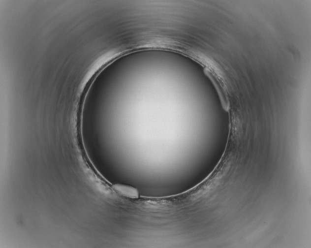 X0000112041138200908101355