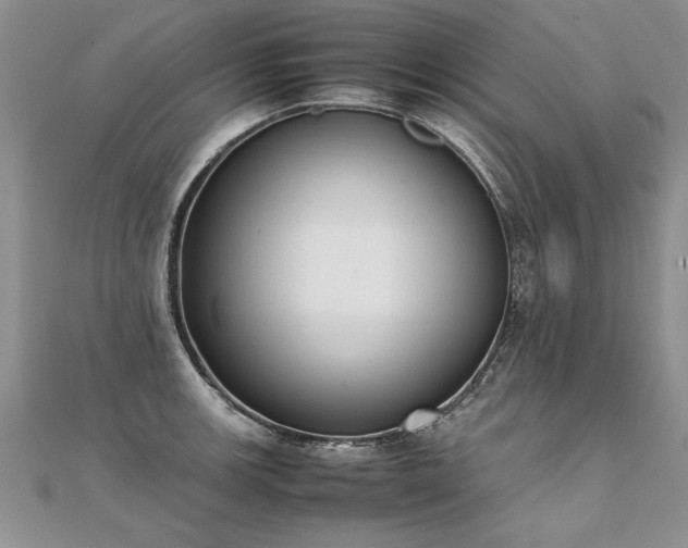 X0000112041139200908101355