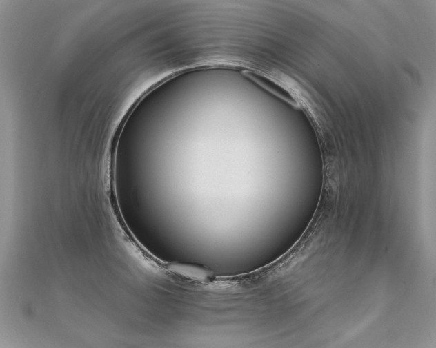 X0000112041140200908101355