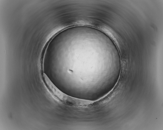 X0000112041141200908101355