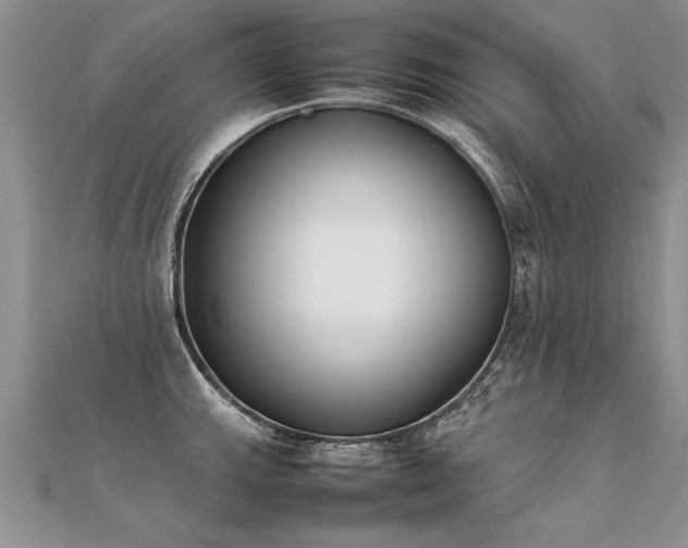 X0000112041143200908101355