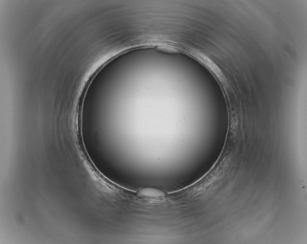 X0000112041144200908101355