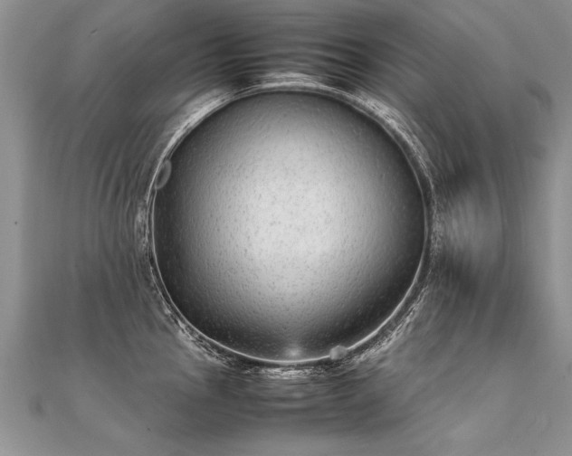X0000112041145200908101355