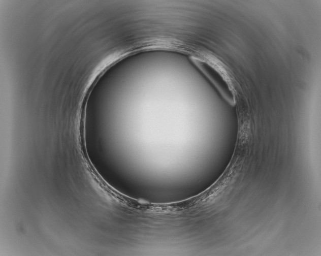 X0000112041146200908101355