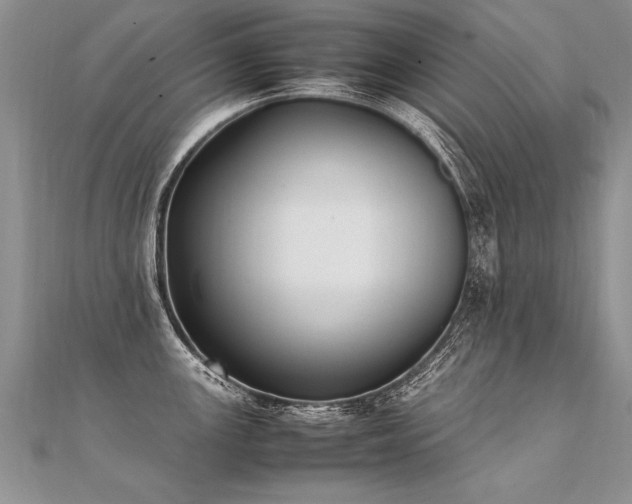 X0000112041147200908101355