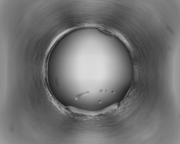 X0000112041148200908101355