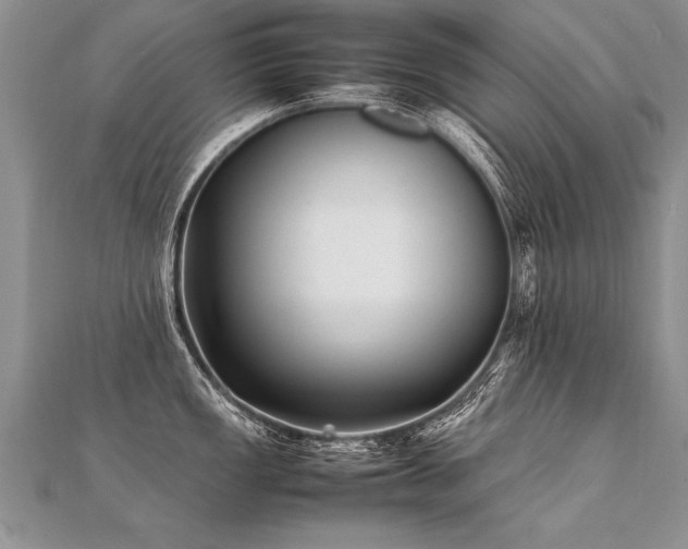 X0000112041149200908101355