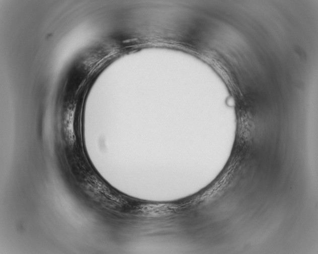 X0000112041150200908101355