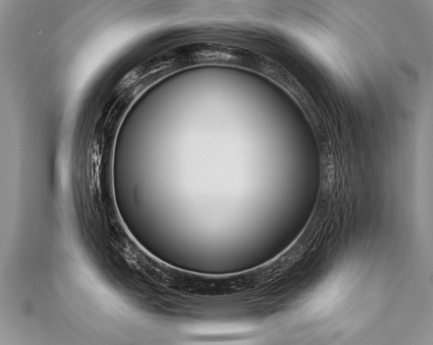 X0000112041151200908101355