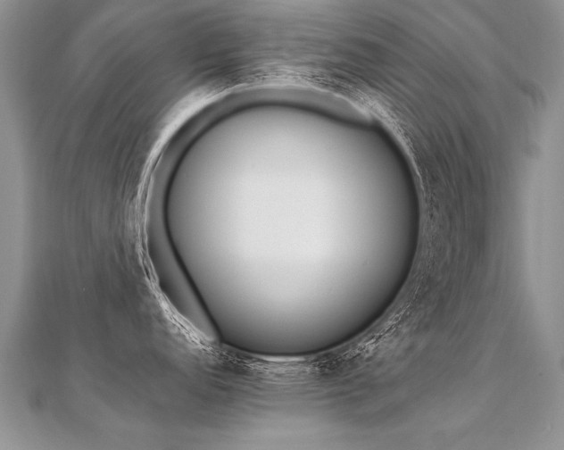 X0000112041152200908101356