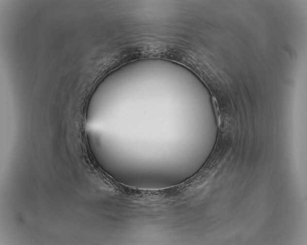 X0000112041153200908101355