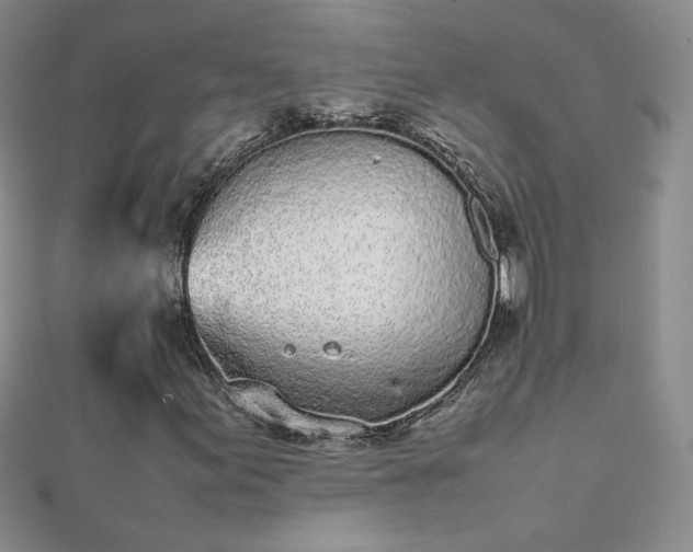X0000112041155200908101355