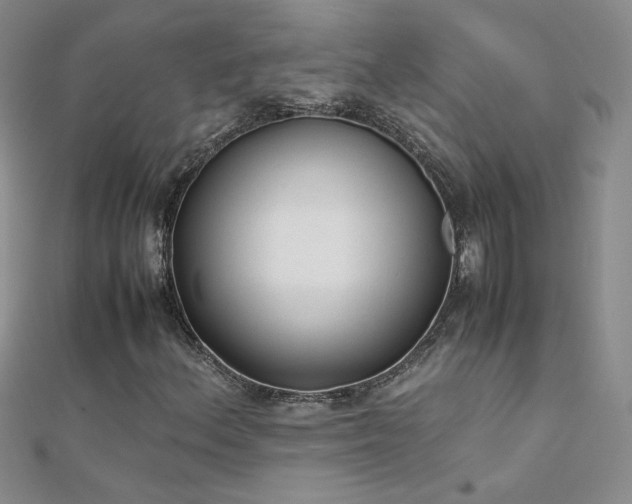 X0000112041156200908101355