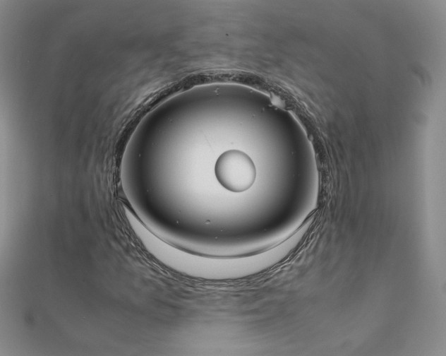 X0000112041157200908101355