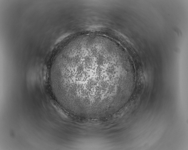 X0000112041158200908101355