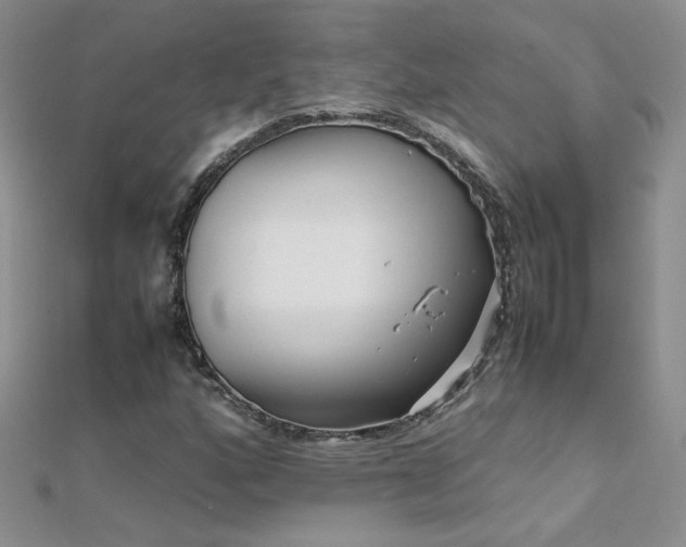 X0000112041160200908101355