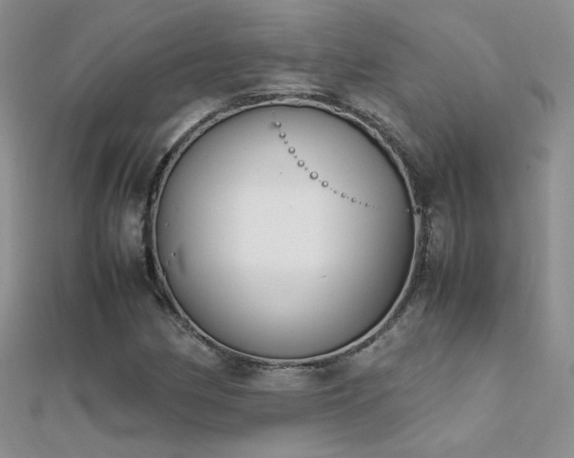 X0000112041162200908101355