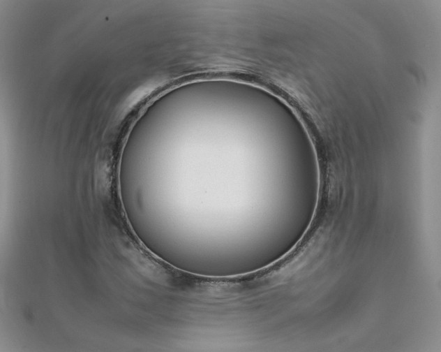 X0000112041163200908101355