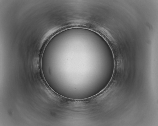X0000112041164200908101355