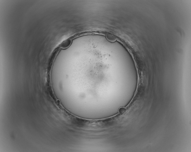 X0000112041165200908101355