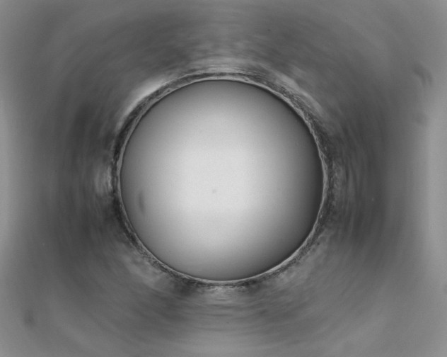 X0000112041166200908101355