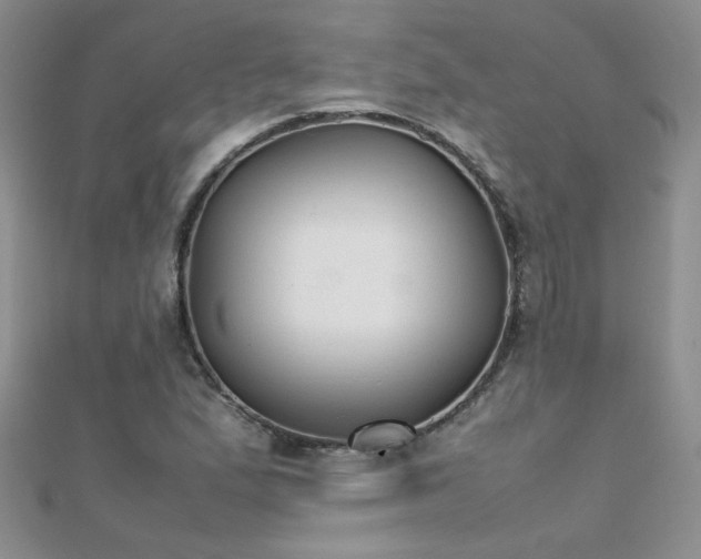 X0000112041167200908101355