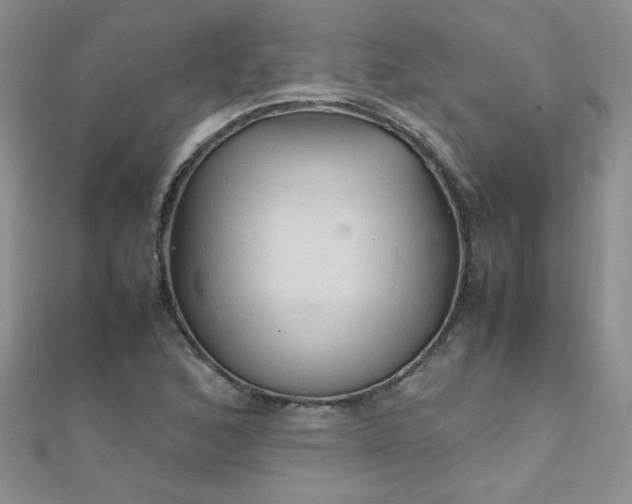 X0000112041168200908101355