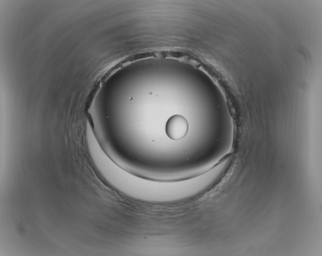 X0000112041169200908101355