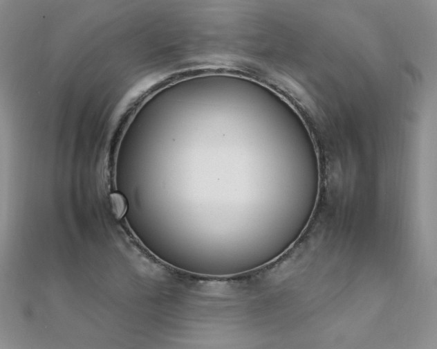 X0000112041172200908101354