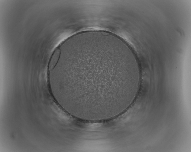 X0000112041173200908101354