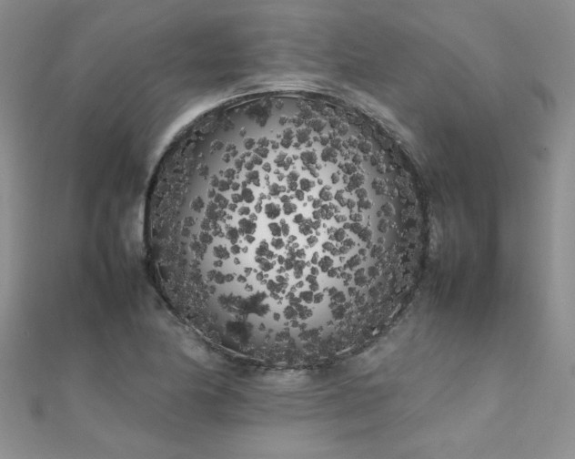 X0000112041174200908101354