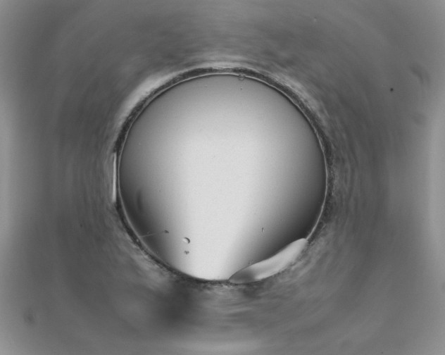 X0000112041175200908101354
