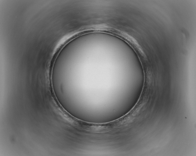 X0000112041176200908101354