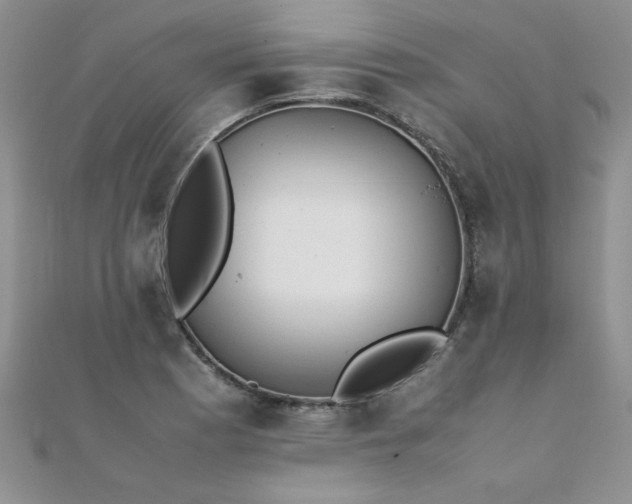 X0000112041177200908101354
