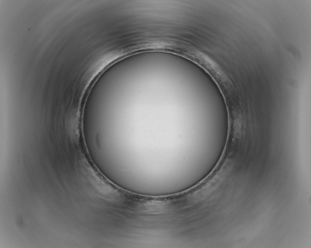 X0000112041178200908101354