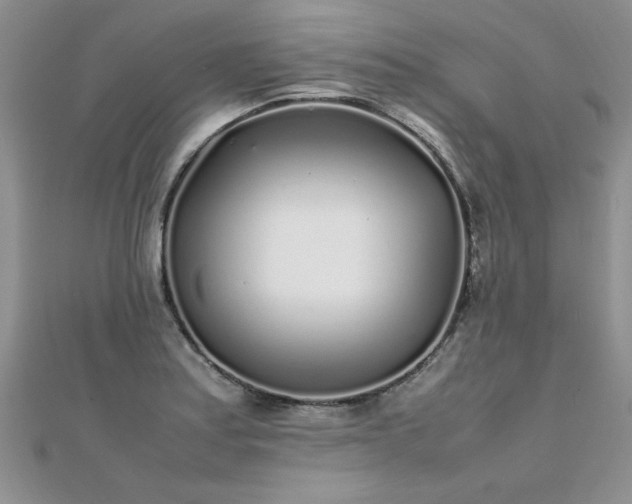 X0000112041179200908101354