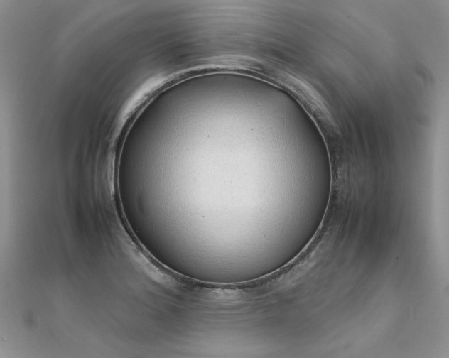 X0000112041180200908101354