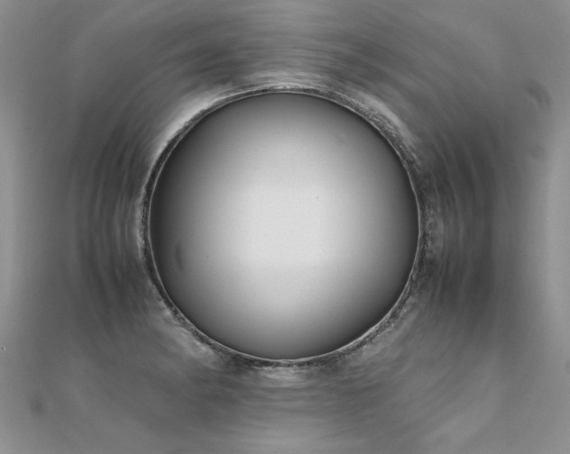 X0000112041182200908101354