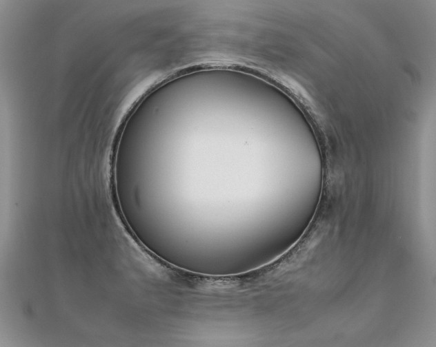 X0000112041183200908101354