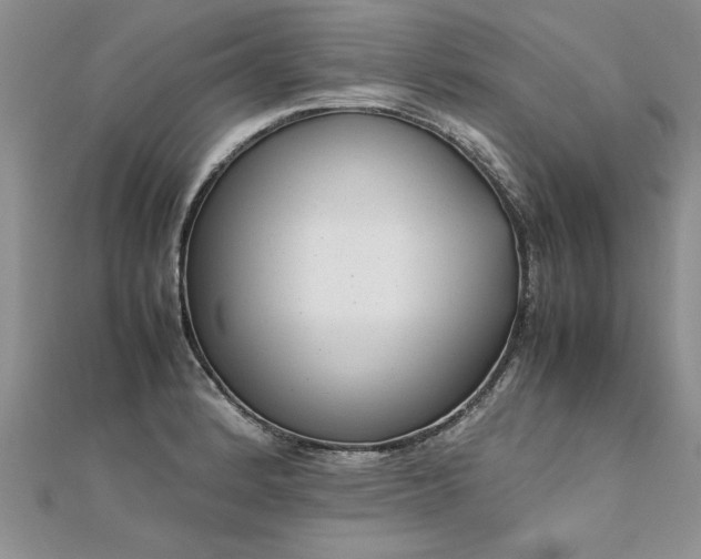 X0000112041184200908101354