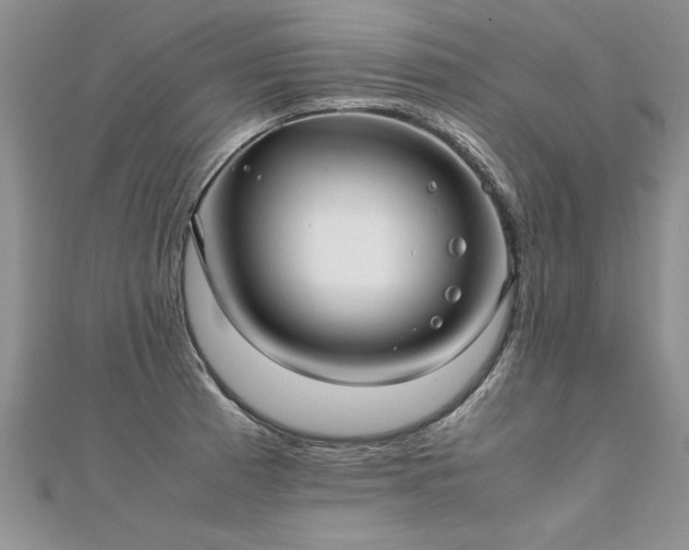 X0000112041185200908101354