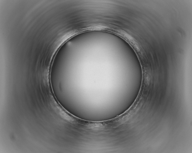 X0000112041186200908101354