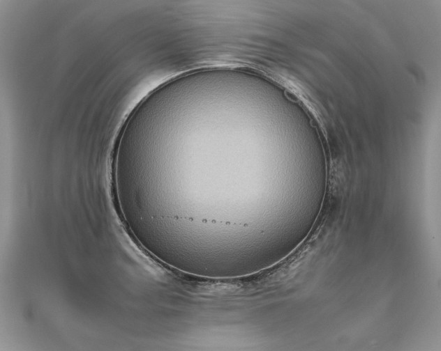X0000112041187200908101354