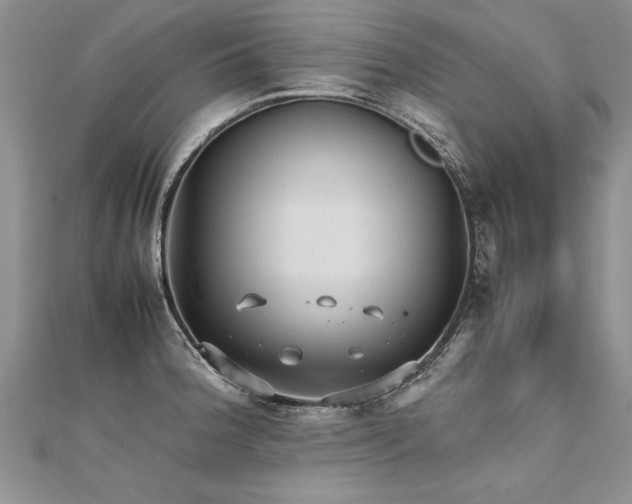 X0000112041188200908101354