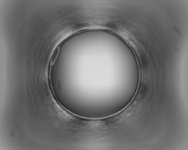 X0000112041189200908101354