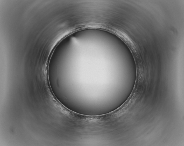 X0000112041190200908101354